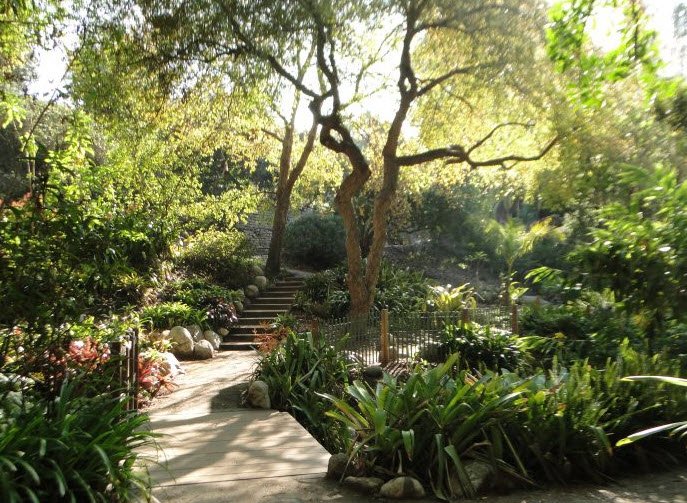 Mathias Botanical Garden, United States